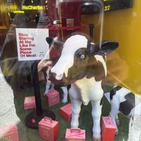   at Mr.Charlie's - San Francisco in San Francisco