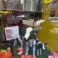   at Mr.Charlie's - San Francisco in San Francisco