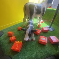   at Mr.Charlie's - San Francisco in San Francisco