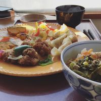 Soy meat set meal with gyoza, rice bowl and miso soup at Prunus in Kyoto