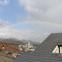 View of the Rainbow from Prunus at Prunus in Kyoto