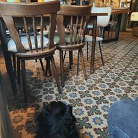 Hondjes zijn welkom ❤️ at Breakaway in Sint Geertruid