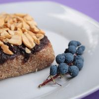   at Zdravo Razum in Novi Sad