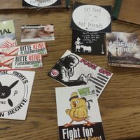  at Cafe Erde in Graz