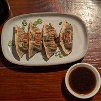 Dumplings "Pan Fried" at Terrestre Cocina Compasión in San Juan