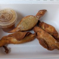 Fried Wonton at Terrestre Cocina Compasión in San Juan