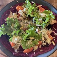 Bowl with hummus and veggies   at Muss Café in Oaxaca