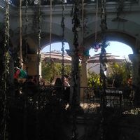 the terrace at Muss Café in Oaxaca