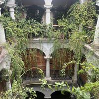 Indoor decor  at Muss Café in Oaxaca