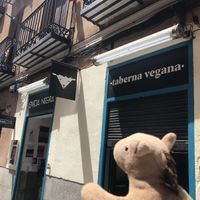   at La Oveja Negra in Madrid