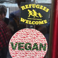 Window at La Oveja Negra in Madrid