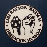 Stickers in the bathroom at La Oveja Negra in Madrid