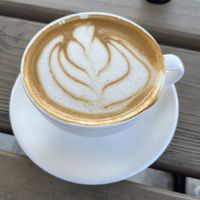  at Bandit Coffee Co in St Petersburg