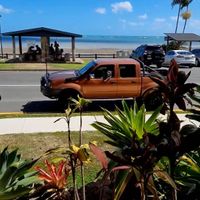 Views at Fat Frog in Cannonvale