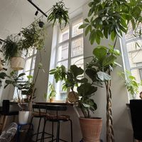 Intérieur   at La Wilderie in Lille