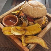 Nécplant at Néctar Comida Afetiva in Itacare