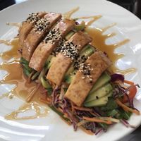 Green dragon  at The Gate - Islington in London