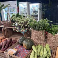 Visão geral #Veganuary at Spazio Mercado Saudável in Sao Paulo