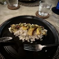 Vegan butternut squash risotto with pistachio pesto   at Silversides in Roatan