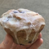 Blueberry lemon drizzle muffin. Nice and moist, not to sweet. at Vegan Vee in Nashville
