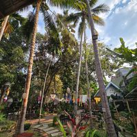  at Break for a Bread in Luang Prabang