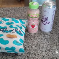 Vegan snacks, smoothie and soft drink at Manjari in Burgas