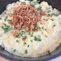 Keesspatzn  at Bodhi in Nuremberg