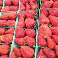  at Old Town Farmer's Market in Temecula