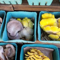 Mushrooms in different sizes! at Old Town Farmer's Market in Temecula