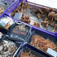  at O Sítio dos Cogumelos - Mercado de Amarante in Amarante