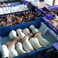  at O Sítio dos Cogumelos - Mercado de Amarante in Amarante