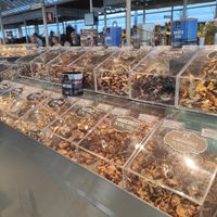 M at O Sítio Dos Cogumelos -  Mercado do Bolhão in Porto