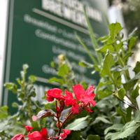 Nicely landscaped grounds around the inn at Woodstock Inn Brewery in North Woodstock