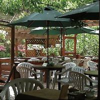   at Tree House Terrace Cafe - テラスカフェ & ギャラリー ツリーハウス in Osaka