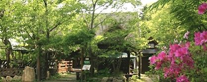   at Tree House Terrace Cafe - テラスカフェ & ギャラリー ツリーハウス in Osaka