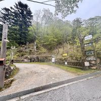   at Tree House Terrace Cafe - テラスカフェ & ギャラリー ツリーハウス in Osaka