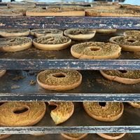  at Panificio Delle Mura in Altamura