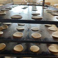  at Panificio Delle Mura in Altamura