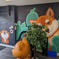  at Shiba Poke in Toronto