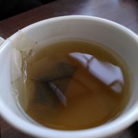 Green tea (December 2022) at Golden Acre Park in Leeds