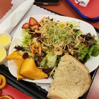 seasonal salad at Our Food Is Art Restaurant and Bar in Crestone