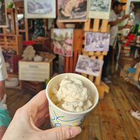  at House of Chocolate Grenada Museum in St Georges