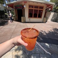 Watermelon tequila drink  at Disneyland - Paradise Garden Grill in Anaheim