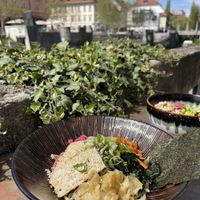 Vegetarian ramen salad  at Ondori Street Food in Ljubljana