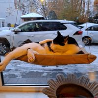  at KOTON Kocia Kawiarnia in Wroclaw