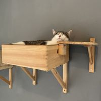   at KOTON Kocia Kawiarnia in Wroclaw