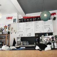  at KOTON Kocia Kawiarnia in Wroclaw