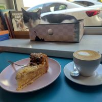  at KOTON Kocia Kawiarnia in Wroclaw