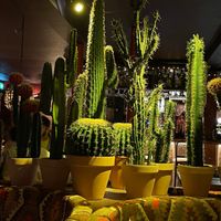  at Tres Locos in Reykjavik