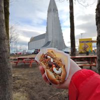 at Víkinga Pylsur - Kiosk in Reykjavik